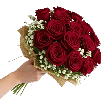 Crimson Rose Elegance