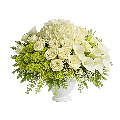 Serene Petal Harmony