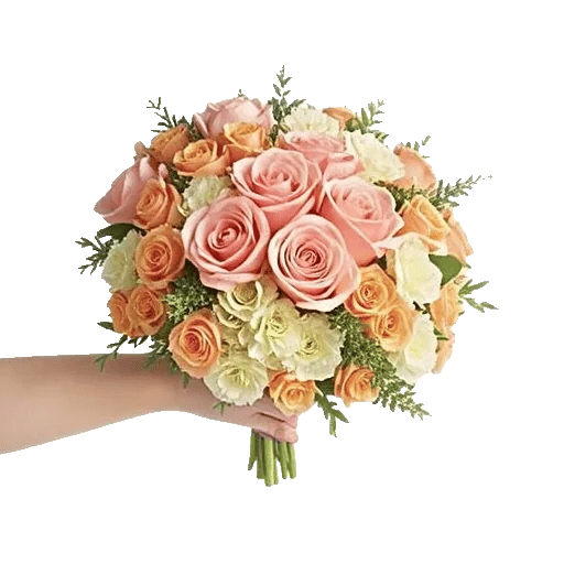 Blushing Rose Symphony