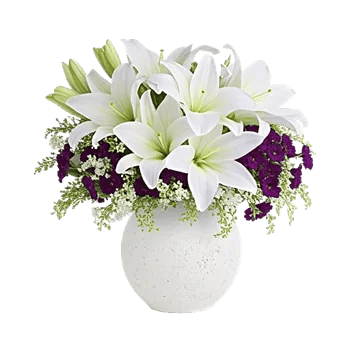 Ivory Blossom Radiance