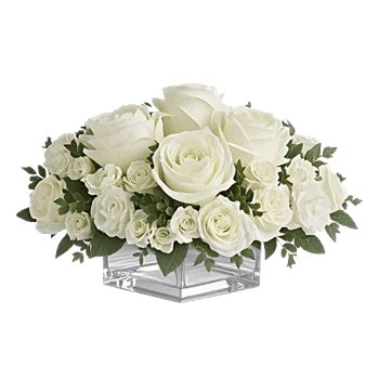 Delicate Petal Cascade