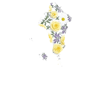 Delicate Petal Cascade