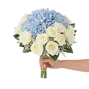 Serene Petal Harmony