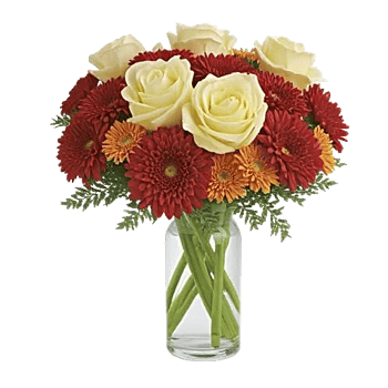 Petal Radiance Bliss