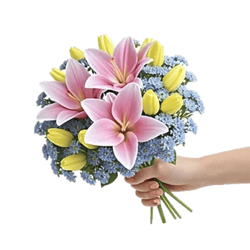 Blossom Harmony Display