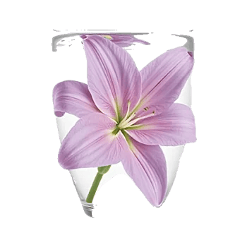 Graceful Lily Display