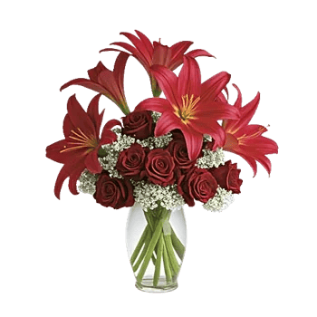 Crimson Lily Glow