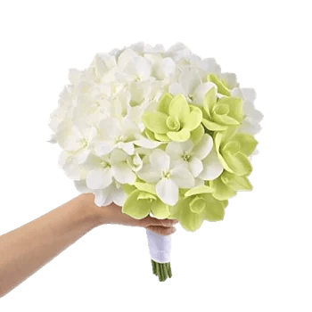 Minimalist White Orchids