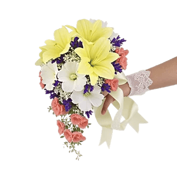 Delicate Petal Cascade