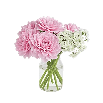 Pink Pastel Roses