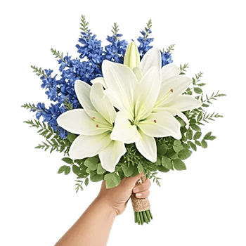 Blossom Petal Serenity