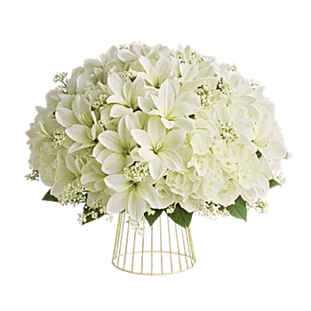 Graceful Lily Display