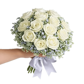 Ivory Garden Grace