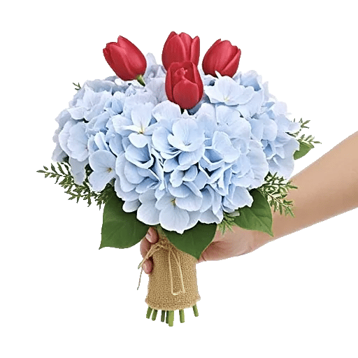 Scarlet Tulip Splendor