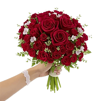 Crimson Rose Elegance