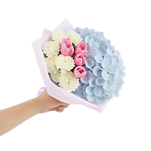 Pastel Blossom Grace