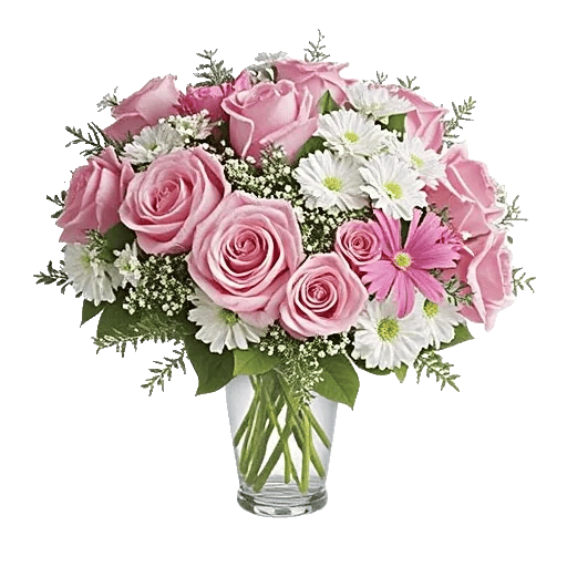 Pink Pastel Roses