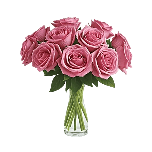 Radiant Rose Symphony