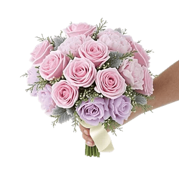 Pastel Pink Roses