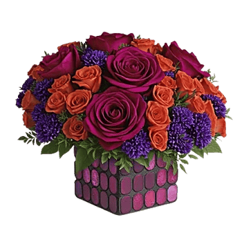 Petal Radiance Bliss