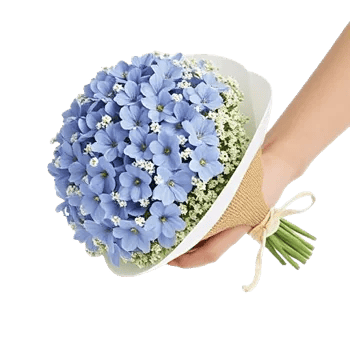 Blossom Petal Serenity