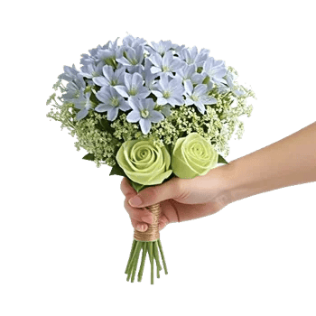 Blossom Petal Serenity