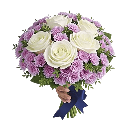 Blushing Rose Symphony