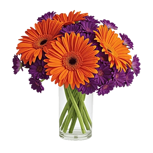 Petal Radiance Bliss