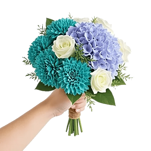 Serene Petal Harmony