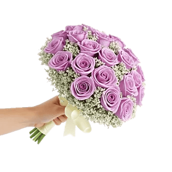 Blushing Rose Symphony