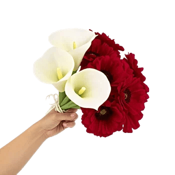Elegant Calla Lilies