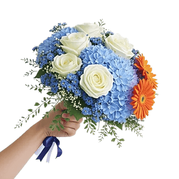 Serene Petal Harmony