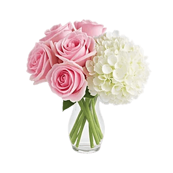 Pink Pastel Roses