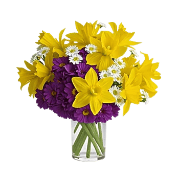 Velvet Tulip Display