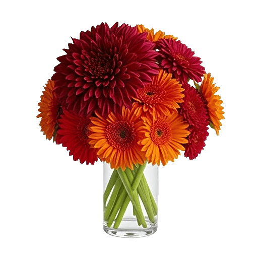 Crimson Blossom Harmony