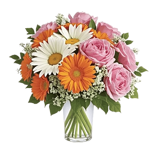 Petal Radiance Bliss