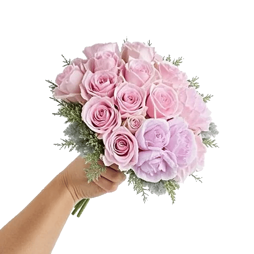 Pastel Pink Roses