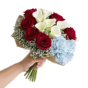 Crimson Rose Elegance