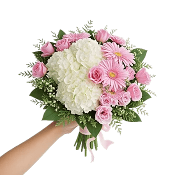 Serene Petal Harmony