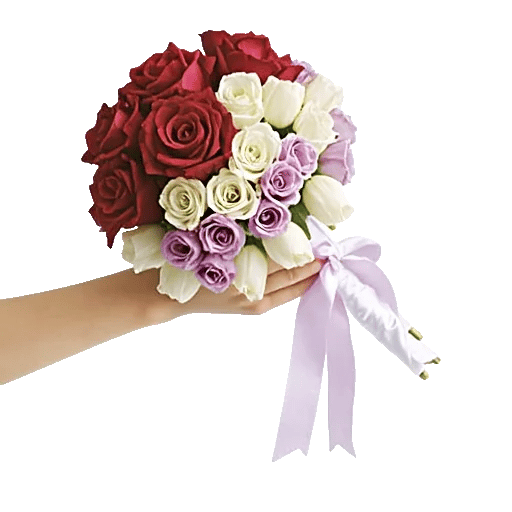 Delicate Petal Cascade