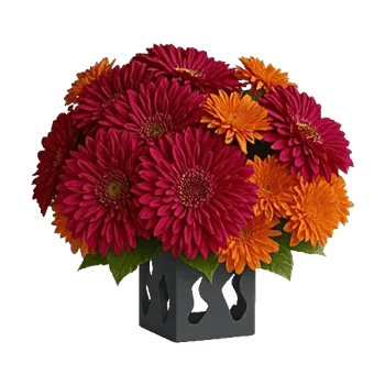 Crimson Blossom Harmony