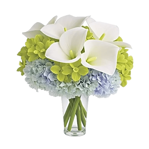 Elegant Calla Lilies