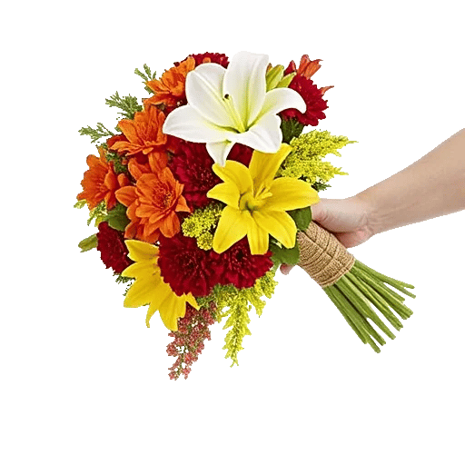 Delicate Petal Cascade