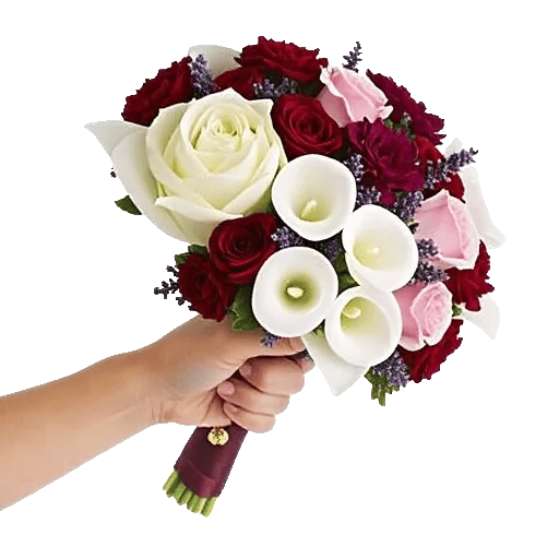 Blushing Rose Symphony