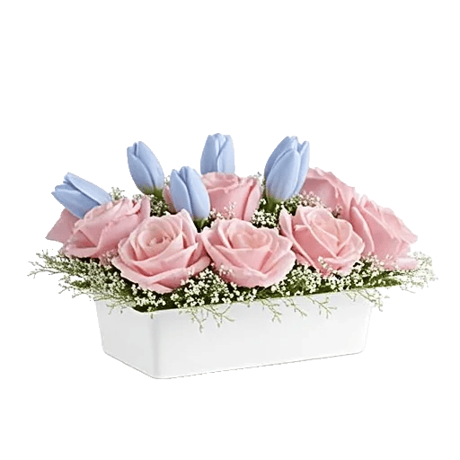 Blossom Petal Serenity