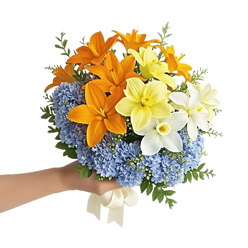 Minimalist White Orchids