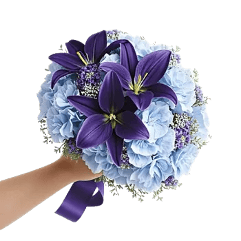 Serene Petal Harmony