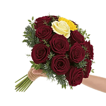 Crimson Rose Elegance