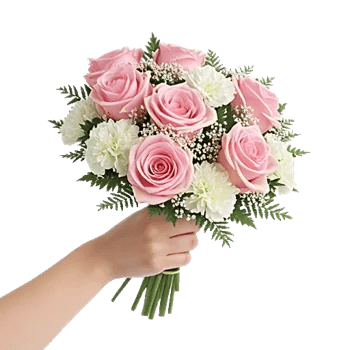 Pastel Pink Roses