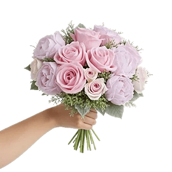 Pastel Pink Roses